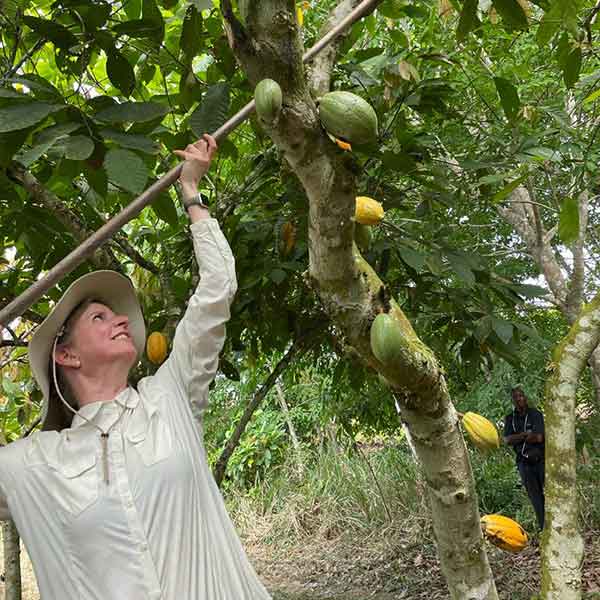 Geschäftsführerin Corinna Wartenberg erntet Kakaofrüchte vom Baum