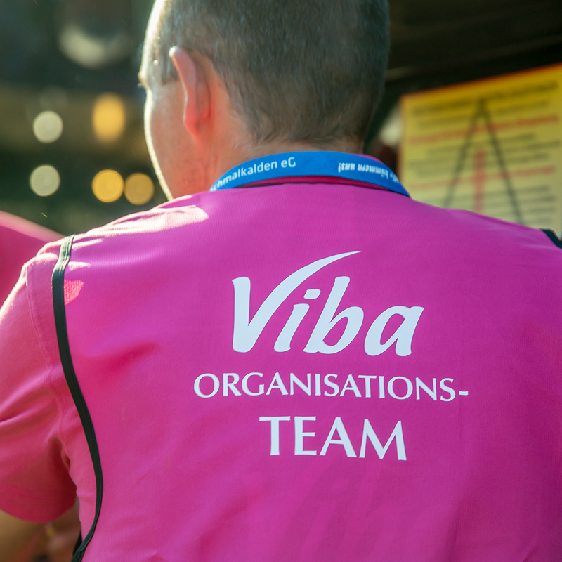 Viba Organisations-Team